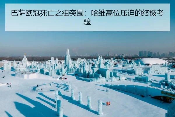 ba-sa-ou-guan-si-wang-zhi-zu-tu-wei-ha-wei-gao-wei-ya-po-de-zhong-ji-kao-yan-2-127.jpg