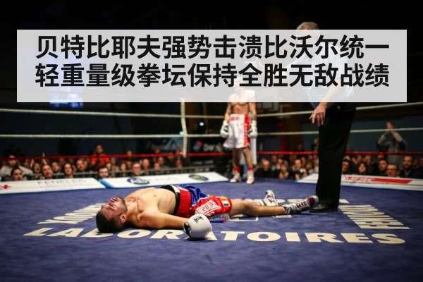 boxer knockout