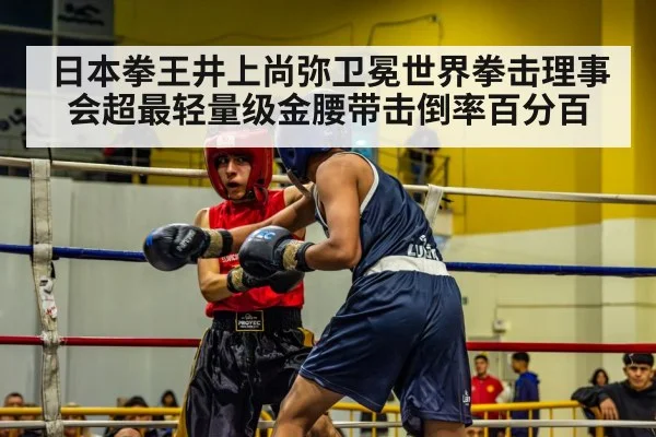 日本拳王井上尚弥卫冕世界拳击理事会超最轻量级金腰带击倒率百分百