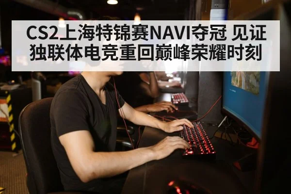 gamer playing computer