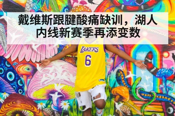 戴维斯跟腱酸痛缺训，湖人内线新赛季再添变数